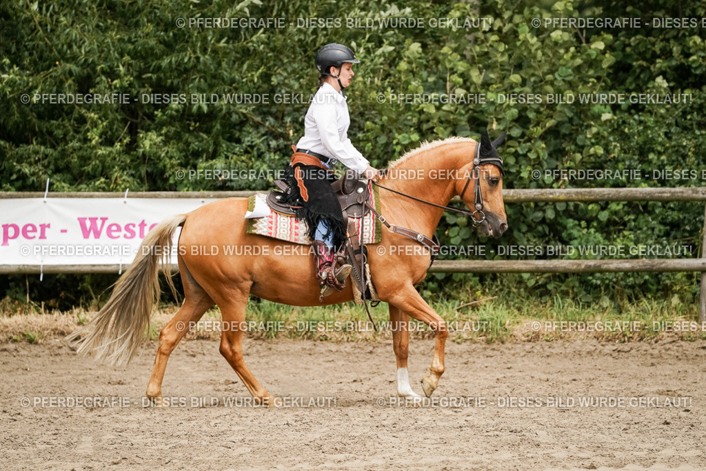 DSC00283 | Pferdegrafie