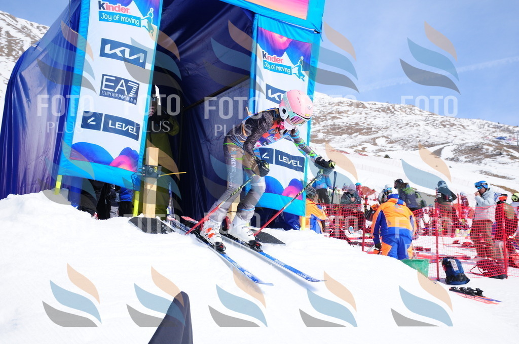 DSC_5453 | holidayphoto