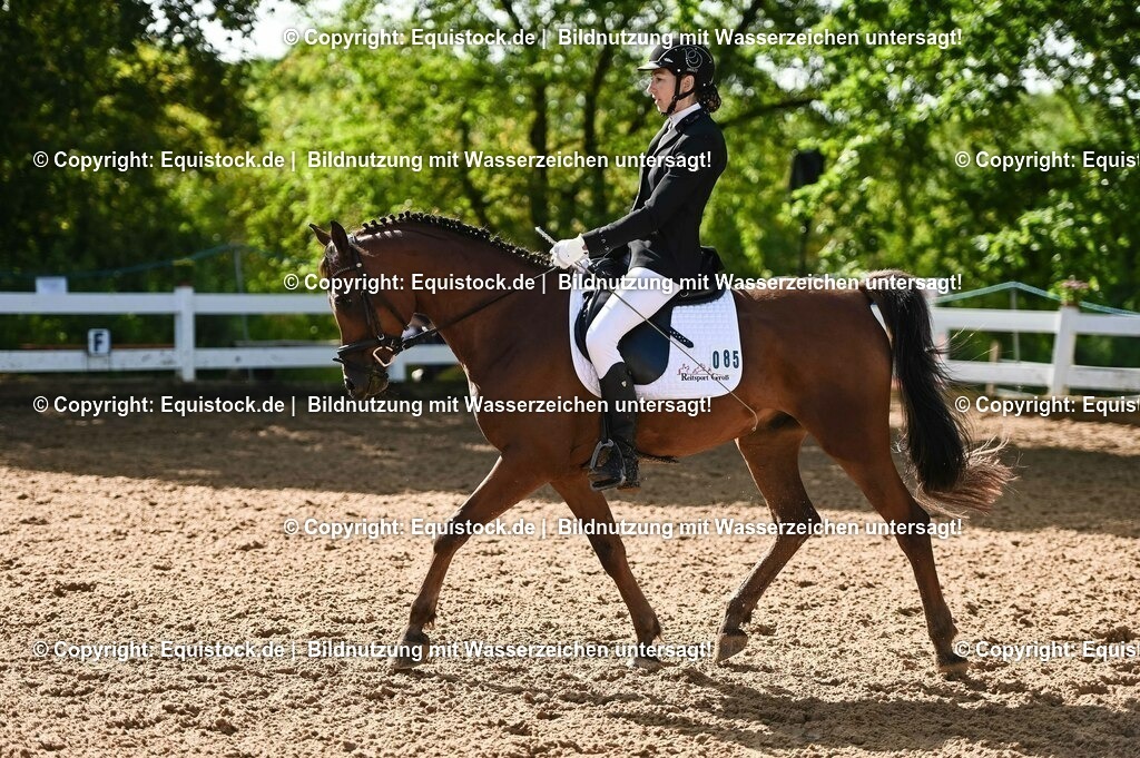 20230716_04_Dressurreiterprüfung Kl.A_0176 | equistock