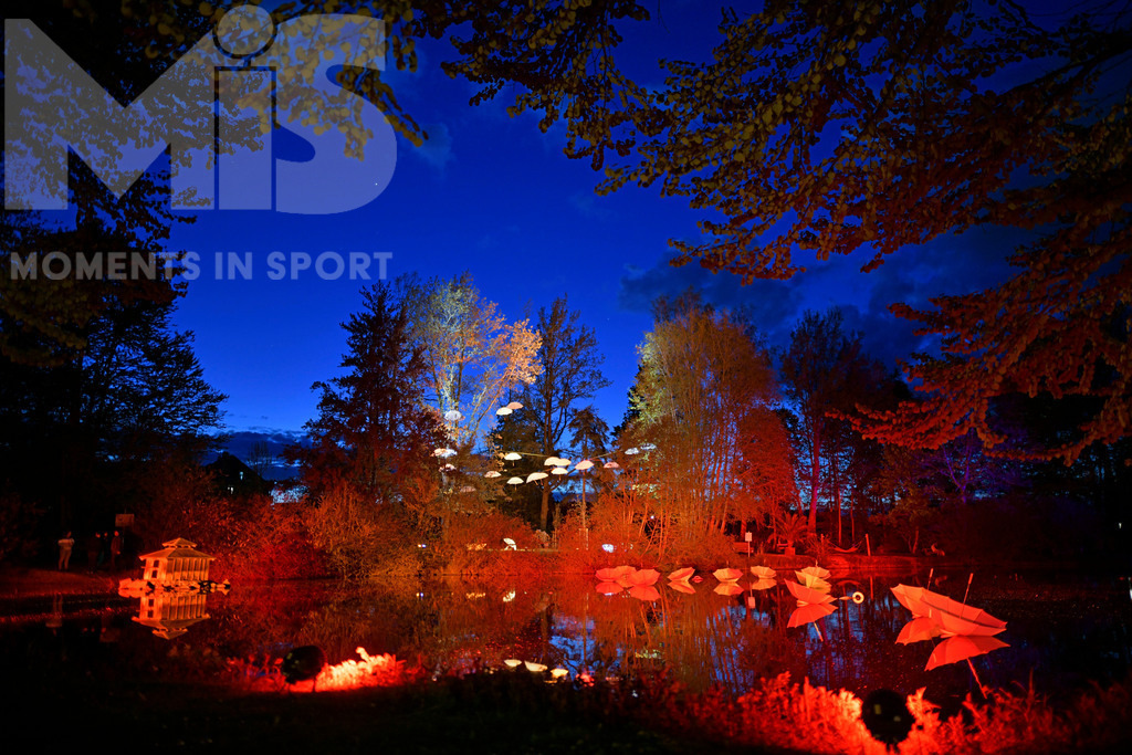 mis310719RF02.JPG | 14.05.2021, Bad Wörishofen, Kurpark, Abends ab 20:00 Uhr, Kurpark-Leuchten 2, "unter dem Schirm von Pfarrer Sebastian Kneipp" eine Illumination im Kurpark anlässlich 200. Geburtstag des Wasserdoktors Pfarrer Kneipp. Der Allgäuer Künstler Thomas Mogendorf verteilte Regenschirm-Modelle seines Entwurfes, im Kurpark, Die Szenerien werden in den Abendstunden stimmungsvoll beleuchtet. - Realisiert mit Pictrs.com
