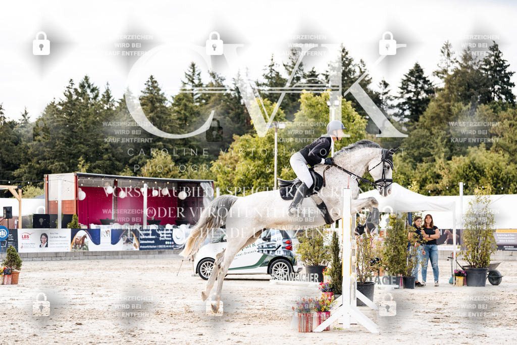 CK903828 | Turnierfotografie Pferdefotografie Trier Rheinland-Pfalz Pferdesport Reitsport Tierfotografie Sportfotografie Pferdevideo Pferdevideografie Equestrianvideography equestrianphotography  - Realisiert mit Pictrs.com