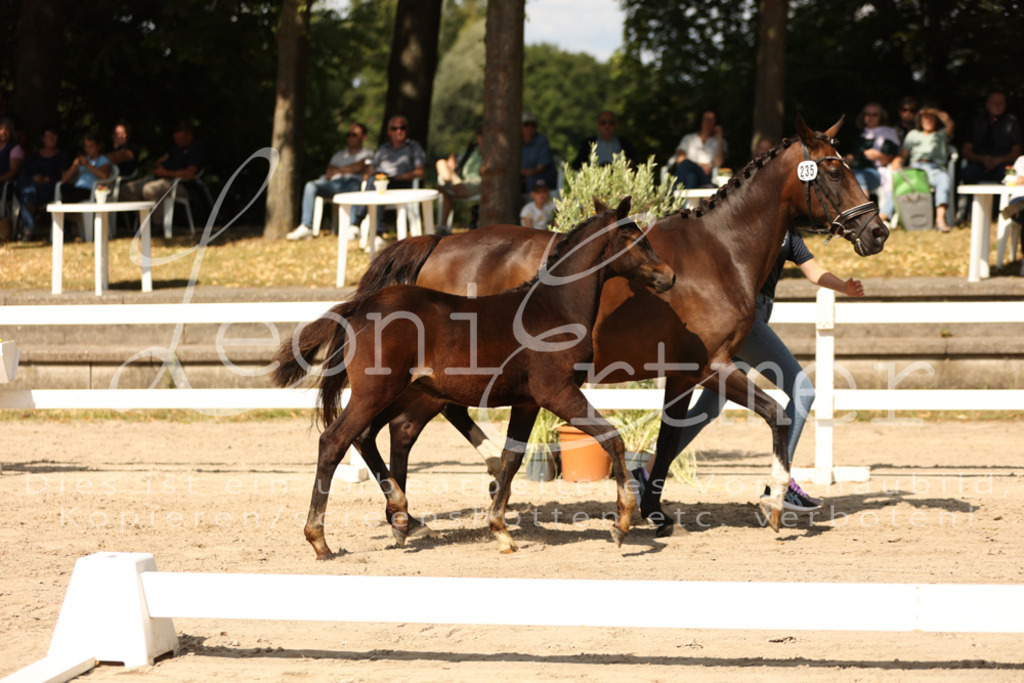 08.DoRPS00033 | Leoni Ertmer Photography - Realisiert mit Pictrs.com