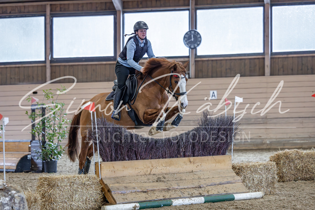 20260221-_3LI0146 | Tierfotografie Pferde, Hunde, Katzen, Haustiere.
Turnierfotografie Reitturniere, Reiten, Springreiten, Dressur in Hanau, dem Main-Kinzig-Kreis und dem Rhein-Main- Gebiet um Frankfurt