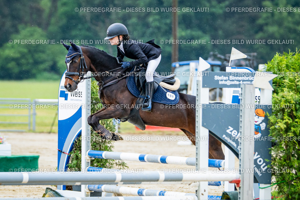 DSC01310 | Pferdegrafie