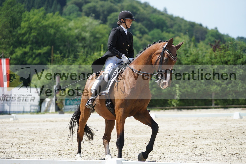 DSC05235 | equestrian-live-com