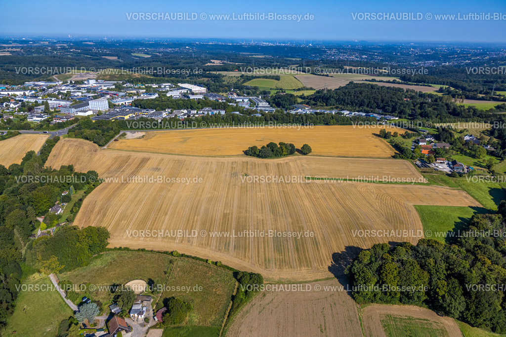 Velbert240812205 | Luftbild, landwirtschaftliche Fläche und kleine Baumgruppe, Wiesen und Felder an der Langenberger Straße, Fernsicht, Velbert, Ruhrgebiet, Nordrhein-Westfalen, Deutschland