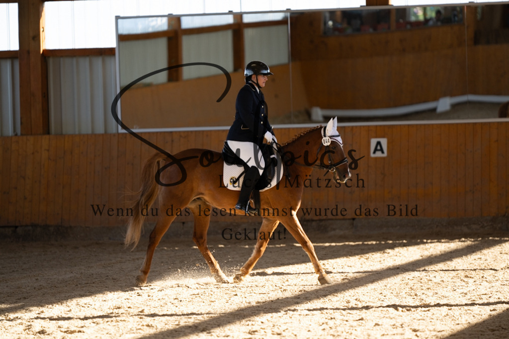 A7V01843 | Pferdefotograf