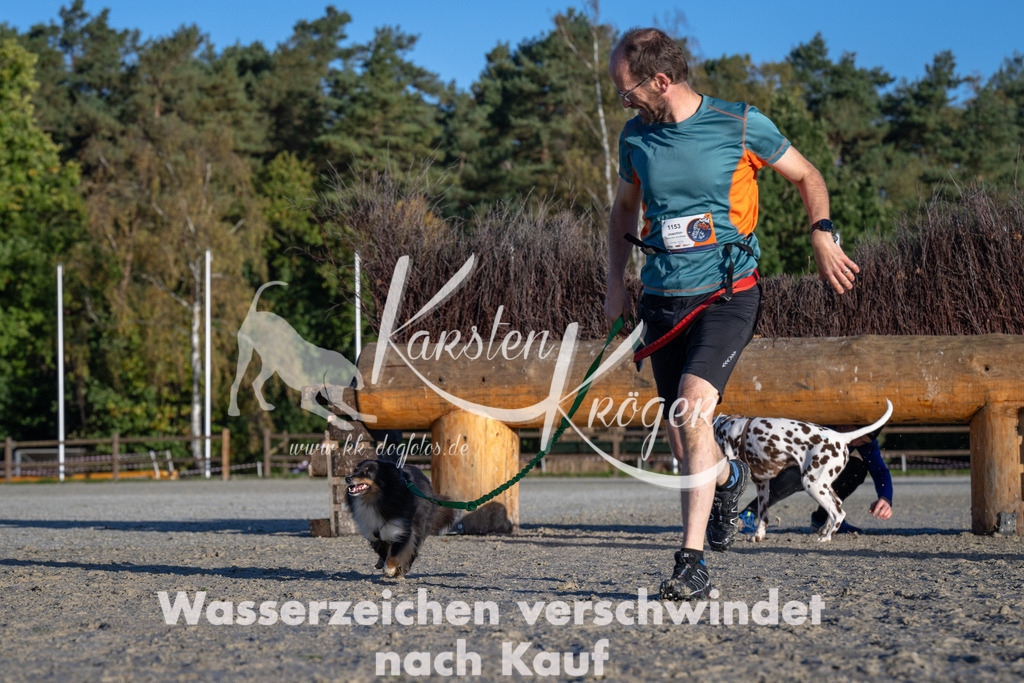 0943-94622 | kk-dogfotos