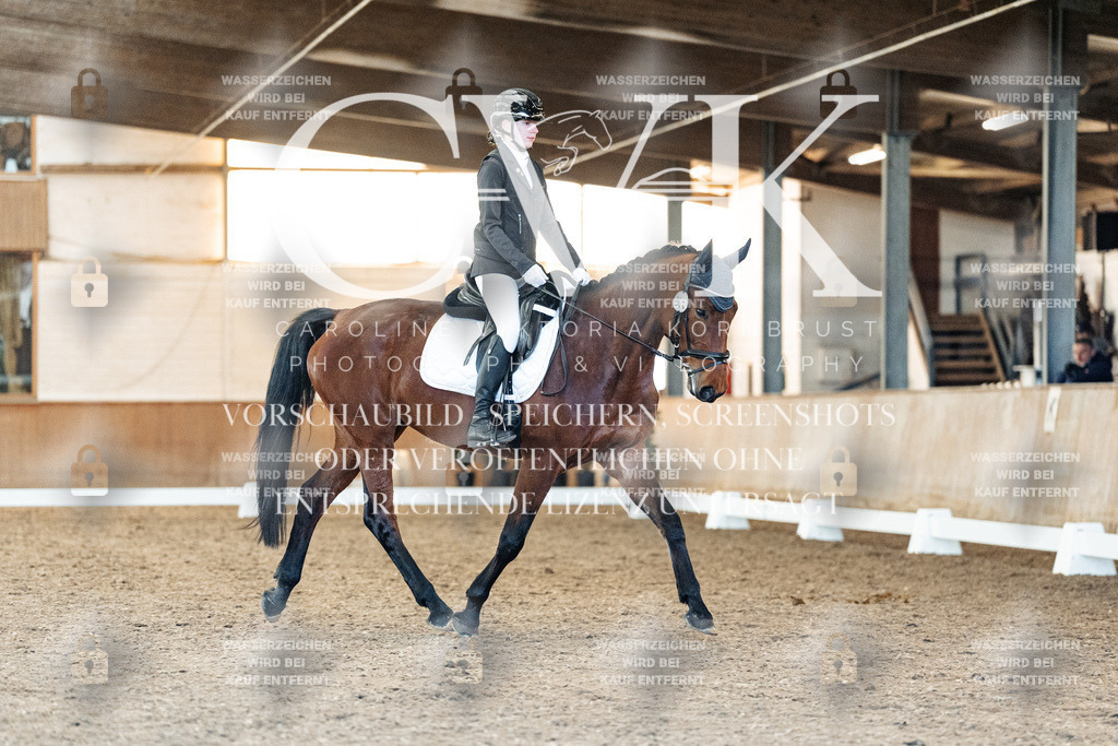 CK907619 | Turnierfotografie Pferdefotografie Trier Rheinland-Pfalz Pferdesport Reitsport Tierfotografie Sportfotografie Pferdevideo Pferdevideografie Equestrianvideography equestrianphotography  - Realisiert mit Pictrs.com