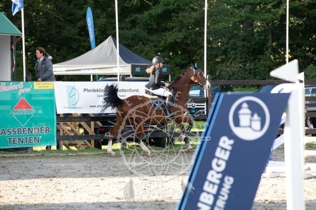 2B4A3933 | pixelfaenger - Realisiert mit Pictrs.com