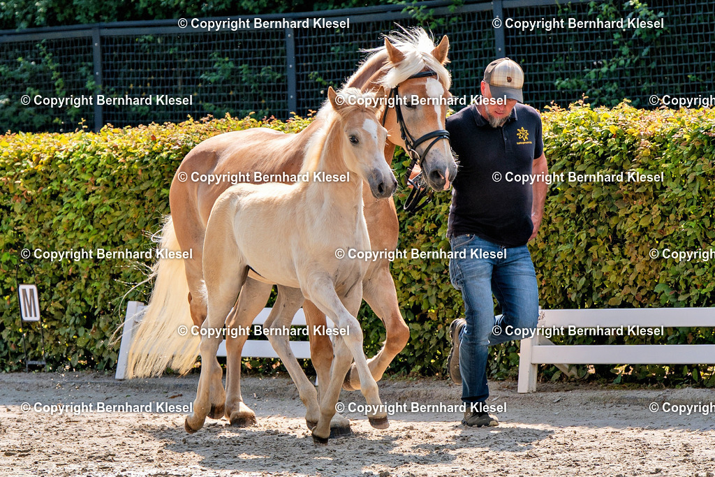 2A909632 | foto-team-bernhard - Realisiert mit Pictrs.com