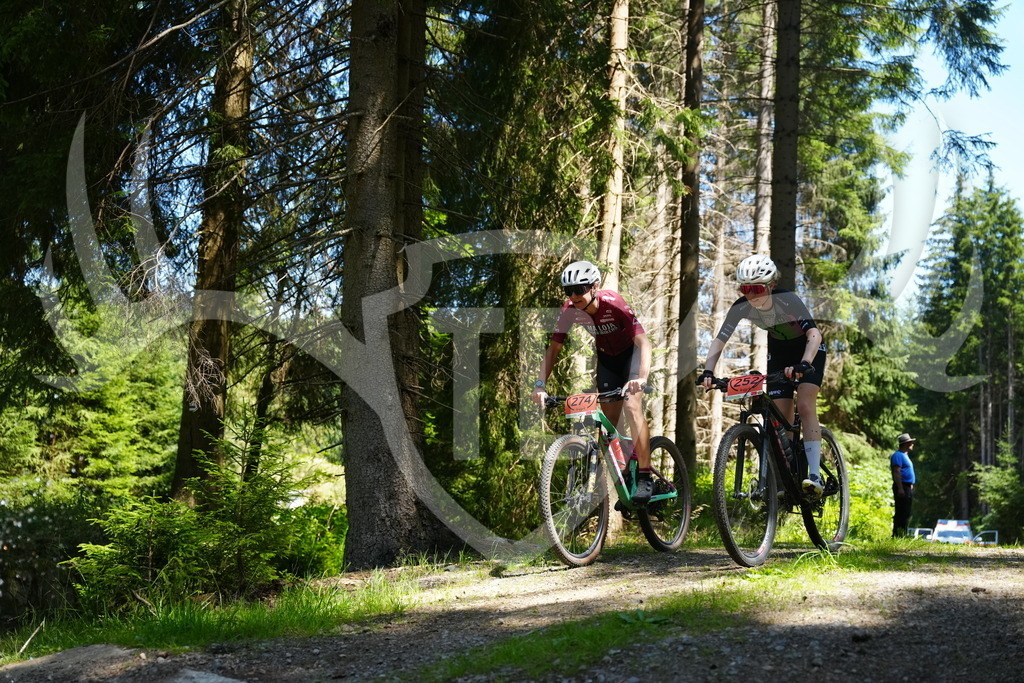 FC101721 | Fotogalerie der Treibjagd im Dunkelwald - Dein MTB Etappenrennen im Erzgebirge - Realisiert mit Pictrs.com