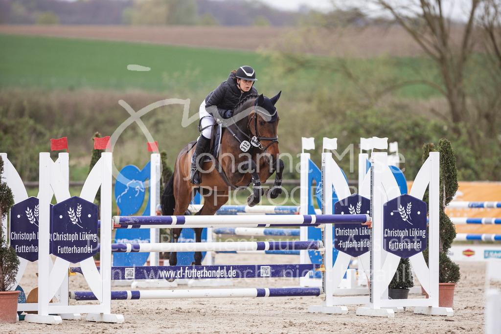 250417_Springpferde-L2-328 | Deine schönsten Turniermomente als professionelle Fotos! Entdecke hochwertige Pferdesport-Fotografie im Online-Shop. Jetzt Fotos finden & bestellen!