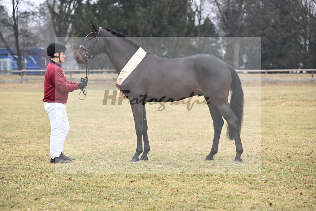 Kat.-Nr. 22 v. Heartbreaker_Laue_3265683 | hf-fotografie - Realizzato con Pictrs.com