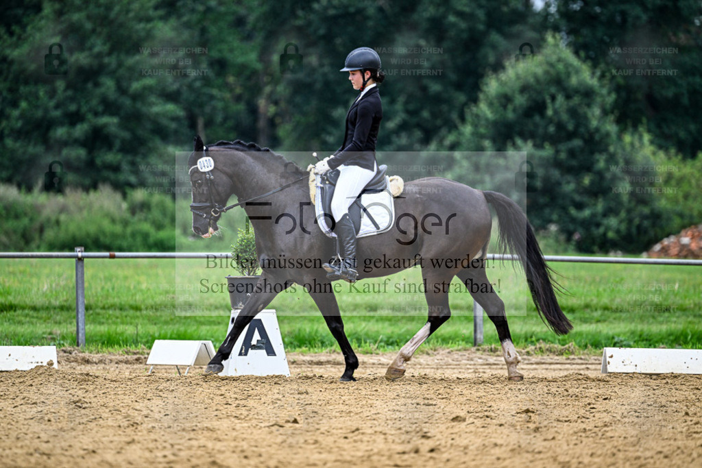 Reitturnier Hasbergen | Entdecke hochwertige Reitturnierfotos von Foto Oger. Professionell, emotional und authentisch – jetzt Lieblingsmomente im Shop bestellen. - Realisiert mit Pictrs.com