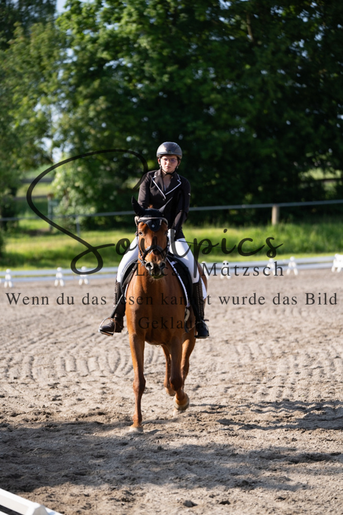 A7V02292 | Pferdefotograf