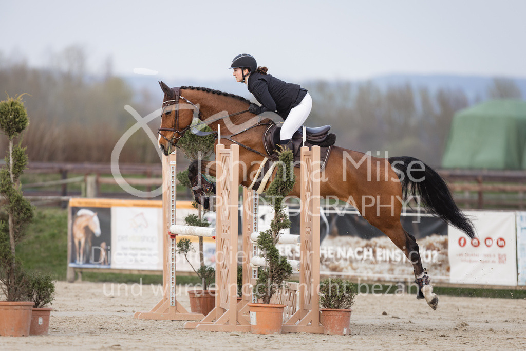230406_Frühlingsfest_A-Stil1-114 | Deine schönsten Turniermomente als professionelle Fotos! Entdecke hochwertige Pferdesport-Fotografie im Online-Shop. Jetzt Fotos finden & bestellen!