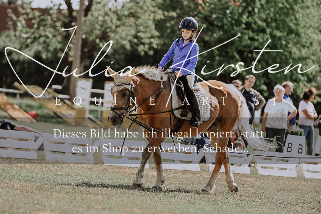 DSC_7498 | Pferde- und Turnierfotografie in Westsachsen. Pferdeportraits, Auftragszeichnungen und intuitive Kunst.