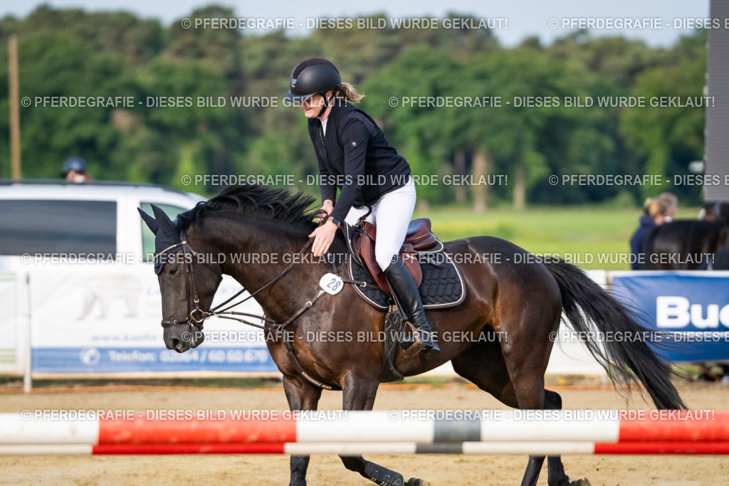 DSC02498 | Pferdegrafie