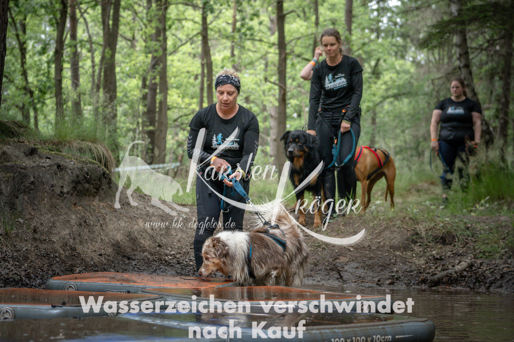 1225_ZZ99063 | kk-dogfotos