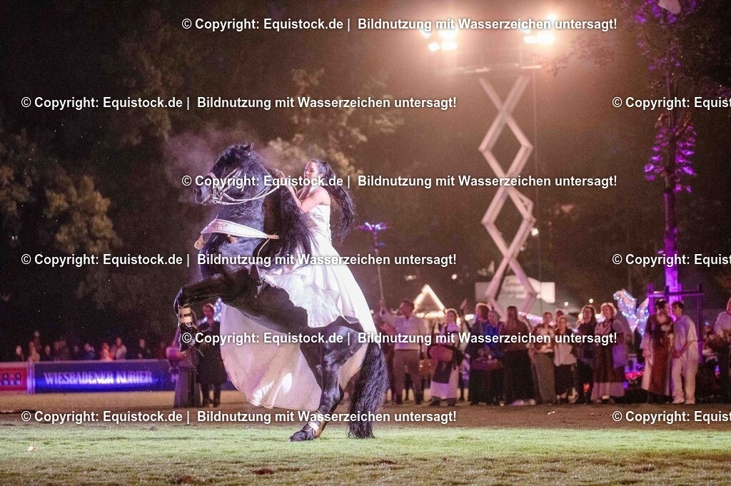 20250606_Lange-Pferdenacht_1474 | Foto: Thomas Hartig