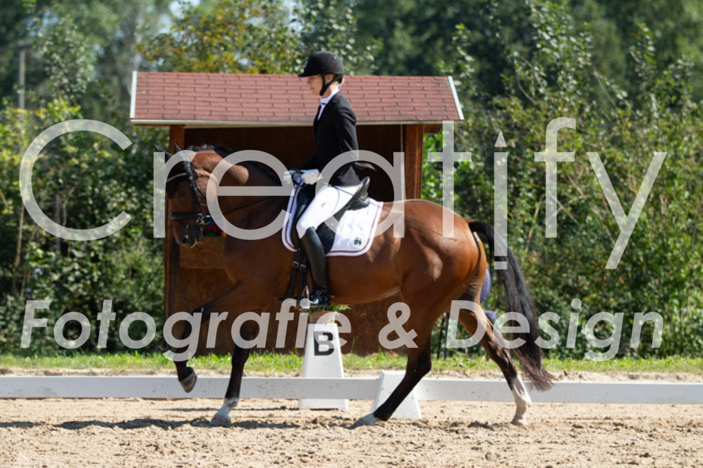 IMG_4020 | Creatify Fotografie