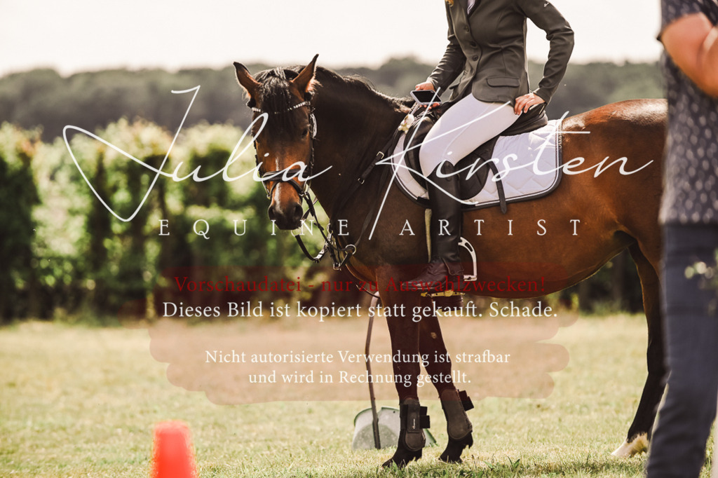DSC_7034 | Pferde- und Turnierfotografie in Westsachsen. Pferdeportraits, Auftragszeichnungen und intuitive Kunst.