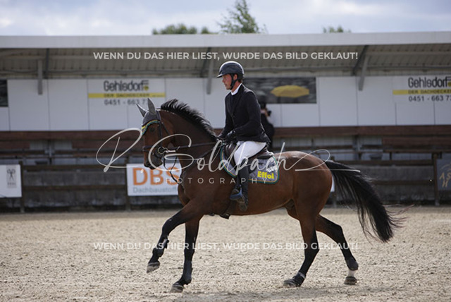1J2A2463Philipp Battermann-Voss_ Claus 83_ Kn237_ Havekost | Foto- und Videografie für alles rund ums Pferd. Hochwertige Bilder und Videos vom Spring- und Dressurreiten, Voltigieren & mehr. Jetzt aktuelle Veranstaltungen und Preise im Shop ansehen. - Realisiert mit Pictrs.com
