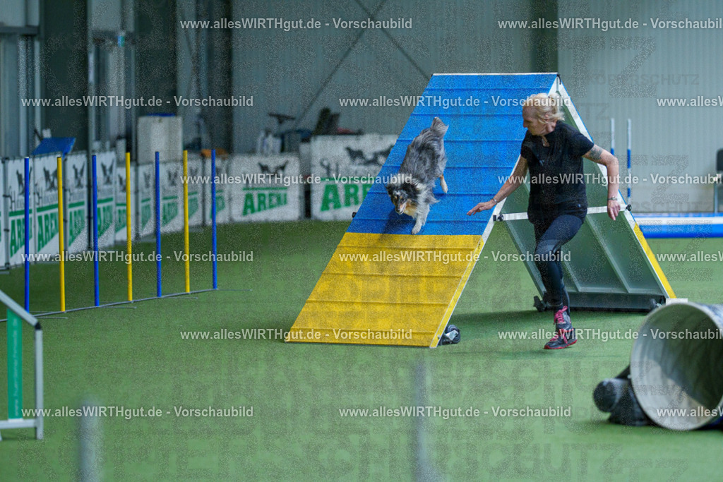 @allesWIRTHgut_Tierfotografie - www.allesWIRTHgut.de - 2604261458-7R504177 | Professionelle Tierfotografie in Mönchengladbach von Daniel Wirth (allesWIRTHgut). Liebevolle & natürliche Bilder von Hunden & Katzen für unvergessliche Erinnerungen.