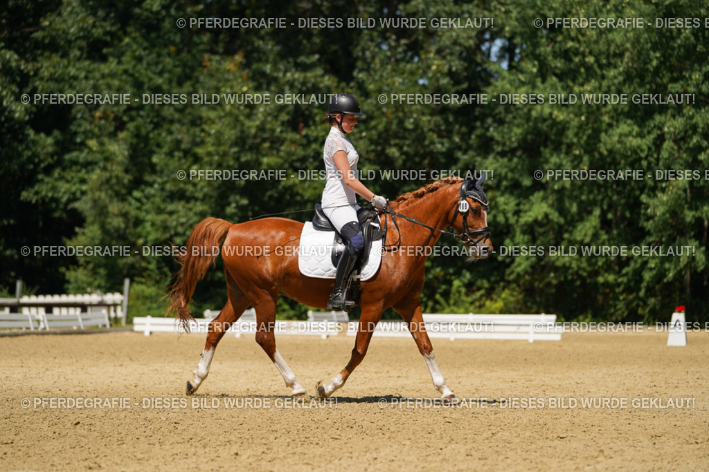 DSC05452 | Pferdegrafie