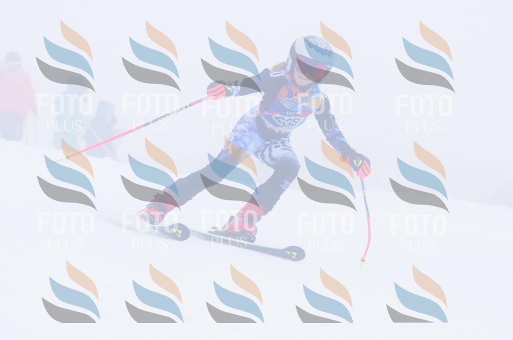 C2498 | holidayphoto