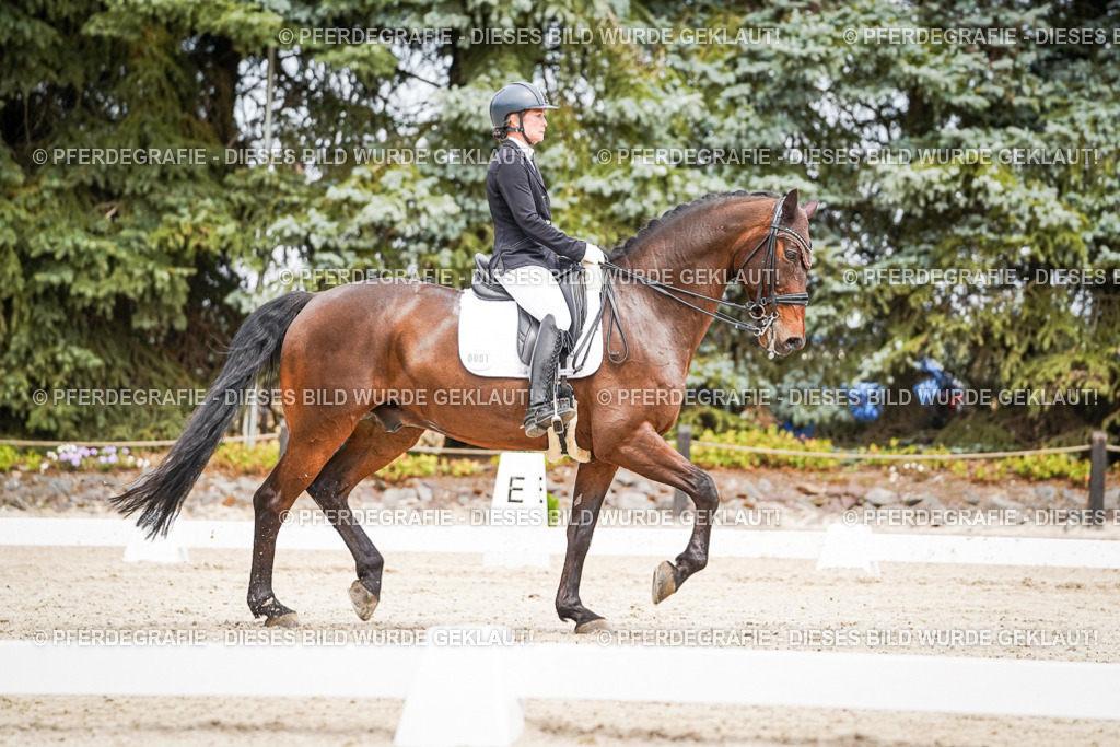 DSC04929 | Pferdegrafie