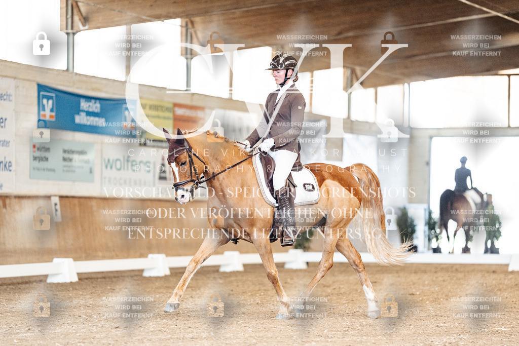 CK900762 | Turnierfotografie Pferdefotografie Trier Rheinland-Pfalz Pferdesport Reitsport Tierfotografie Sportfotografie Pferdevideo Pferdevideografie Equestrianvideography equestrianphotography  - Realisiert mit Pictrs.com