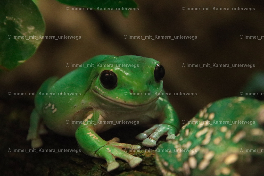 IMG_5518 | immer_mit_kamera_unterwegs