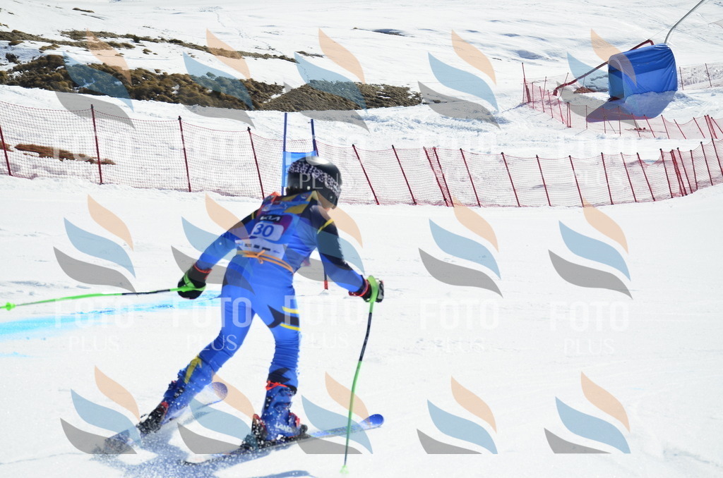 _ELE9975 | holidayphoto