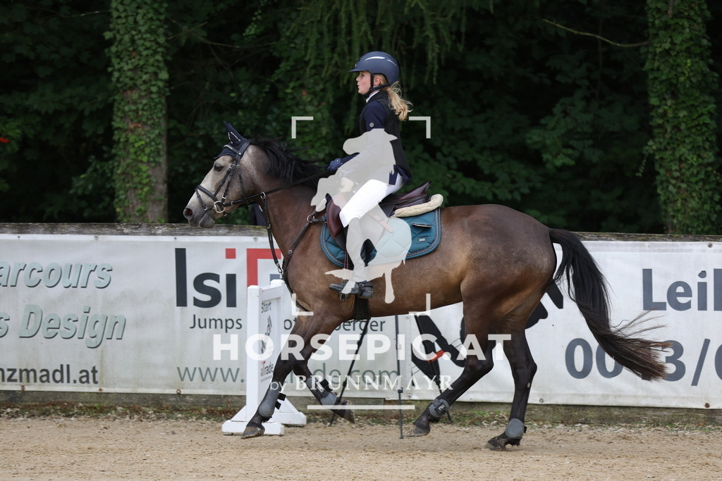 0P6A7117 | Willkommen bei Brunnmayr - Design & Fotografie – Ihrem Spezialisten für Reitturniere und Pferdeveranstaltungen in Oberösterreich, Salzburg und Bayern! Seit über 17 Jahren sind wir leidenschaftlich dabei.