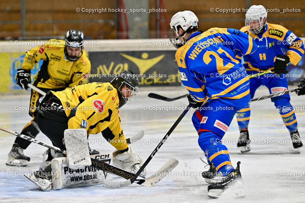 EC MET PHOTOVOLTAIK HORNETS SPITTAL vs. EHC Althofen  | EC MET PHOTOVOLTAIK HORNETS SPITTAL vs. EHC Althofen , EC MET PHOTOVOLTAIK HORNETS SPITTAL vs. EHC Althofen  am 25.01.2025 in Villach (Stadthalle Villach), Austria, (Photo by Bernd Stefan)