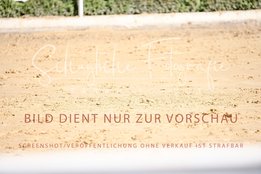 Schugtsche-Aluta25-52.Dressurprf.M2Kand-350 | Schugtsche Fotografie - Realized with Pictrs.com