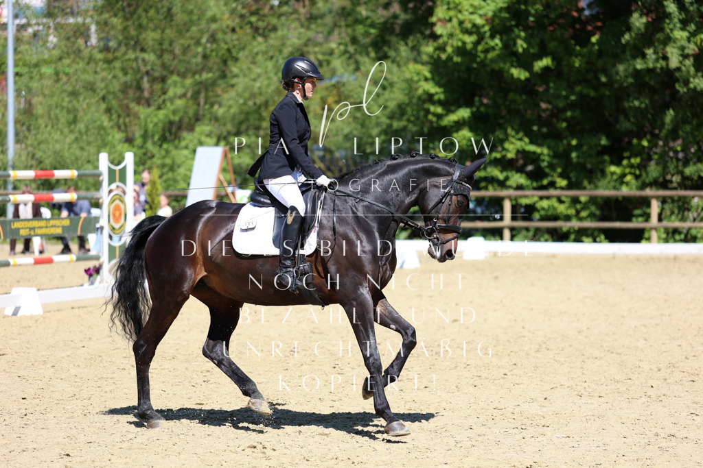 IMGS1999 | pl-fotografie