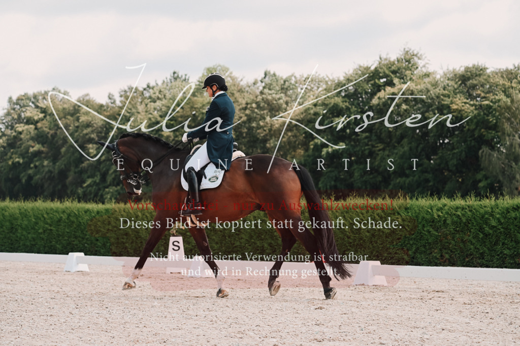 DSC_3840 | Pferde- und Turnierfotografie in Westsachsen. Pferdeportraits, Auftragszeichnungen und intuitive Kunst.