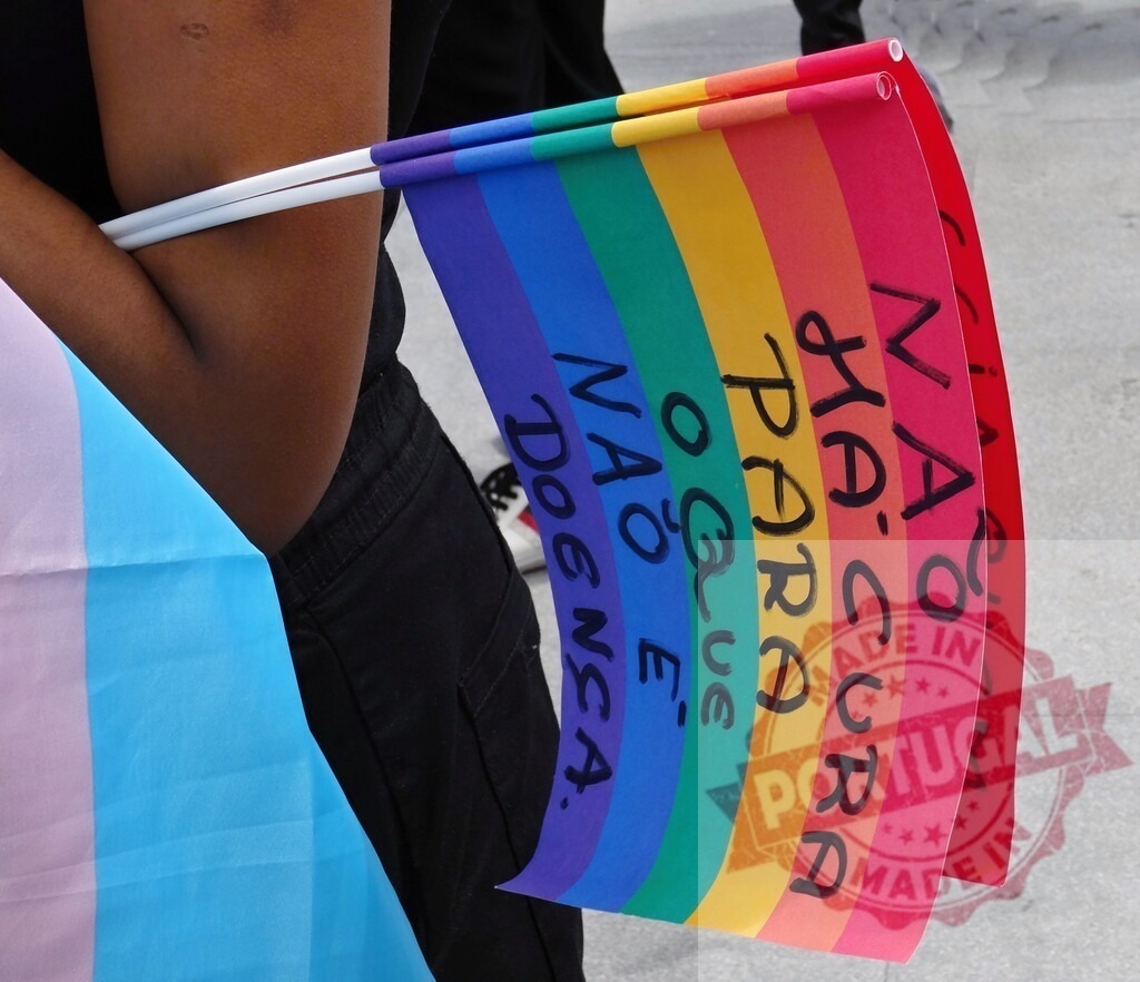 Person holding rainbow and transgender flags showing pride at protest | Person holding a rainbow pride flag with Portuguese text Não cura o que não é doença at a rally - Realisiert mit Pictrs.com