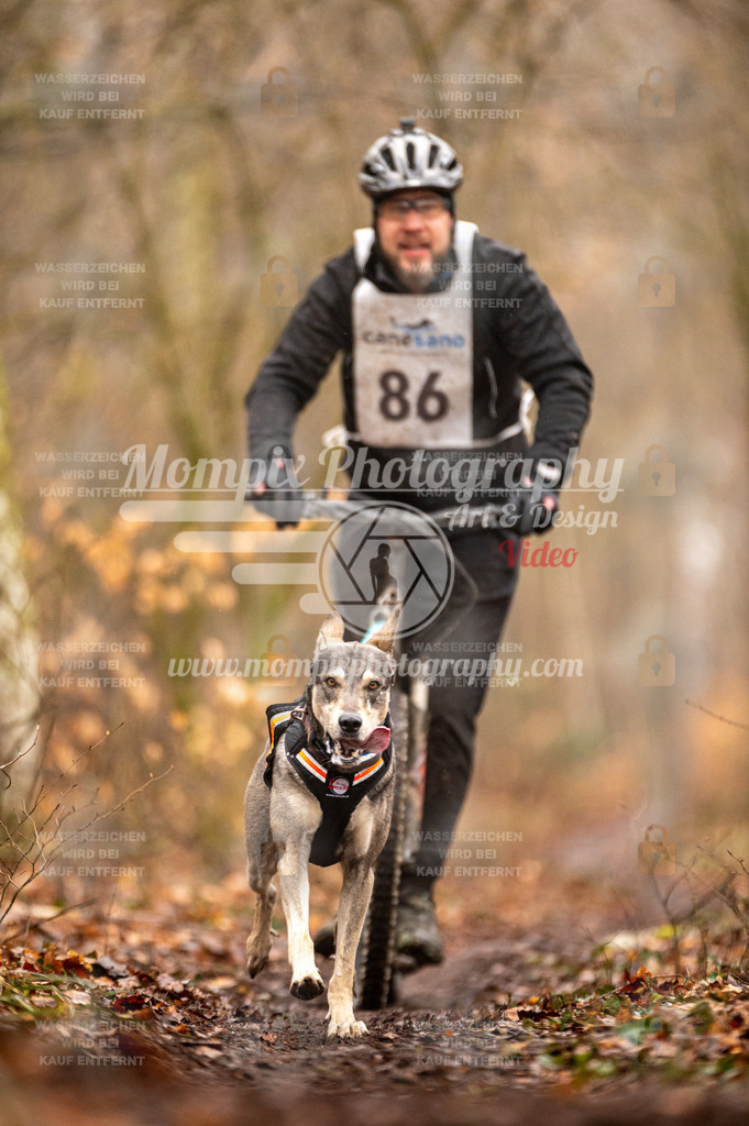 Reiat2023_SON_Scooter_5km_1H-74 | PayLife