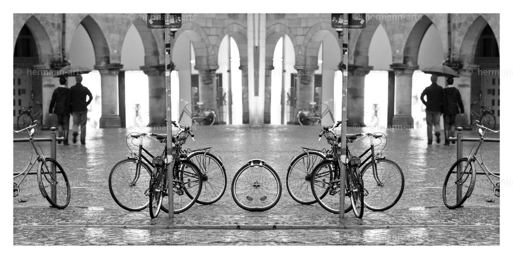 Hermann-Arts_Spiegelbilder_019 | Photo Foto Kunst Art schwarzweiss Bilder Rheine Münster Berlin Blumen 