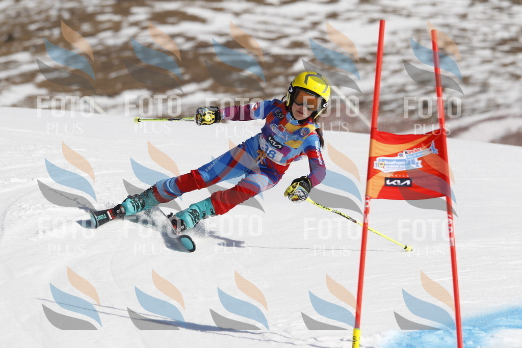 _U3G9189 | holidayphoto