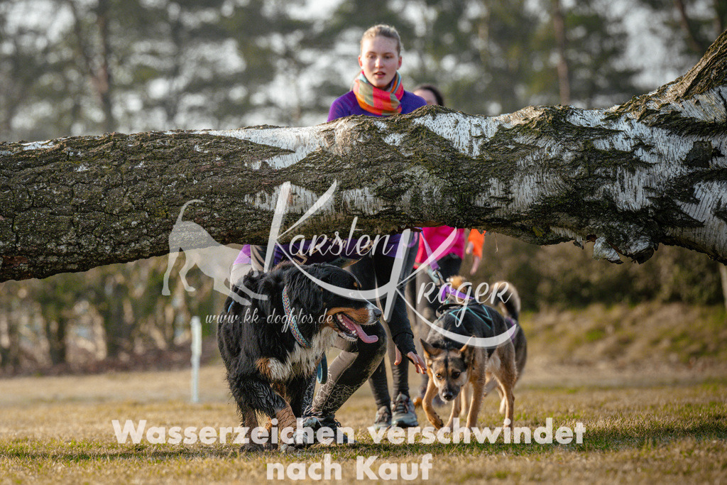 0843_ZZ95576 | kk-dogfotos