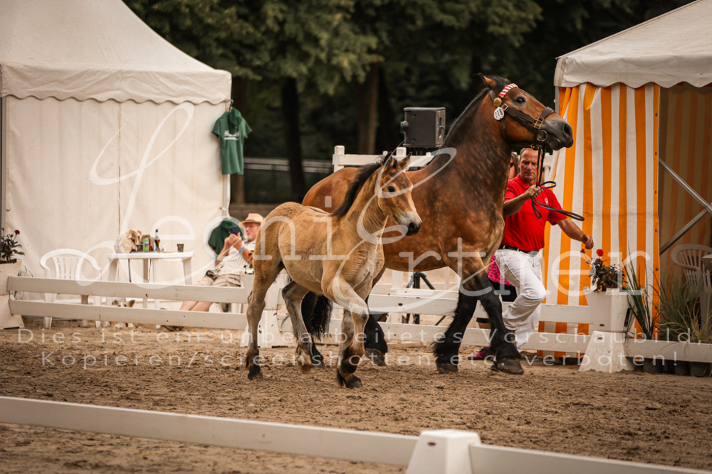 SaHF00072 | Leoni Ertmer Photography - Realisiert mit Pictrs.com