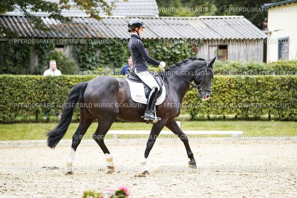 DSC09773 | Pferdegrafie