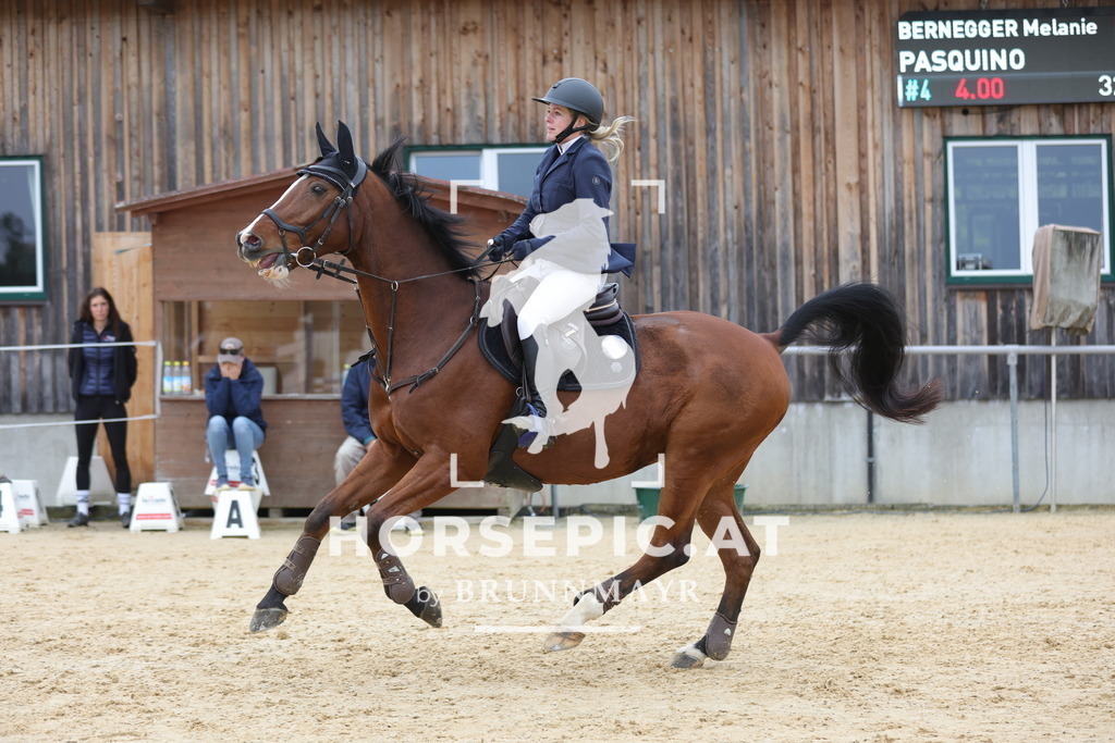 0P6A1614 | Willkommen bei Brunnmayr - Design & Fotografie – Ihrem Spezialisten für Reitturniere und Pferdeveranstaltungen in Oberösterreich, Salzburg und Bayern! Seit über 17 Jahren sind wir leidenschaftlich dabei.
