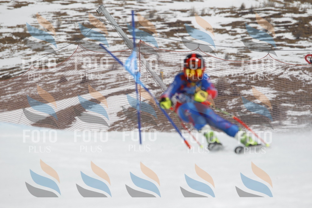 _U3G2530 | holidayphoto