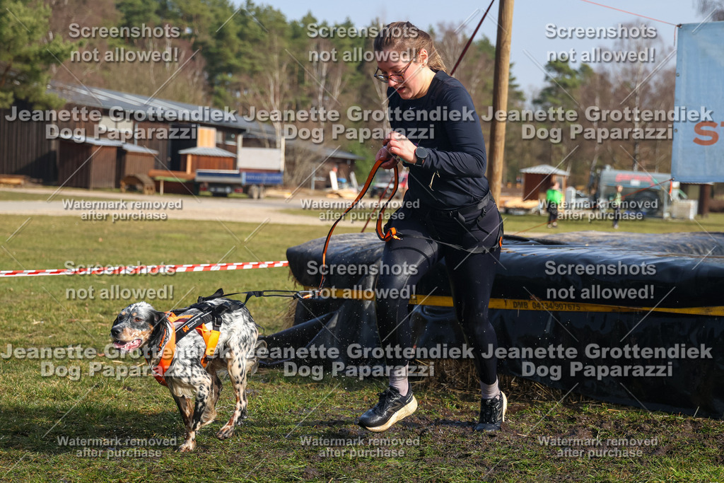 Dog Paparazzi - Strongdog North Mrz26-1829 | Dog Paparazzi Jeanette Grottendiek Fotografie & Videografie - Realisiert mit Pictrs.com